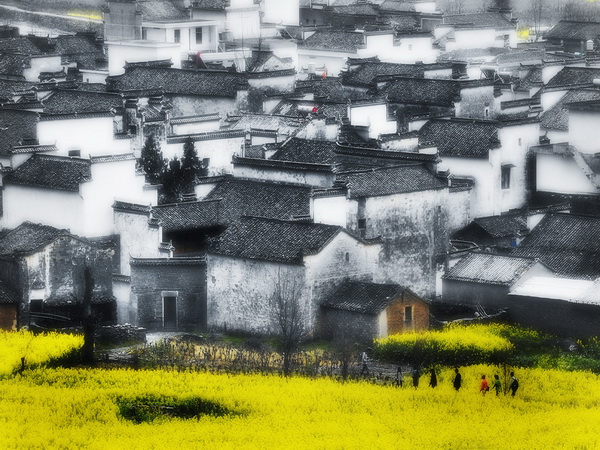 入選獎 侍衛(wèi)東 徽居.jpg