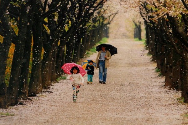 入選獎 盧煒梁 風(fēng)花雪月薄云天.jpg
